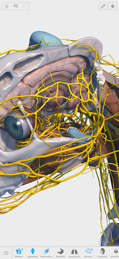 Complete Canine 3D - screenshot 2