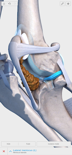 Complete Canine 3D - screenshot 4