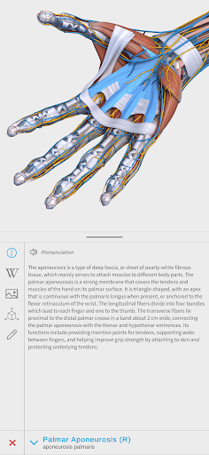 Visual Anatomy 3D - screenshot 2
