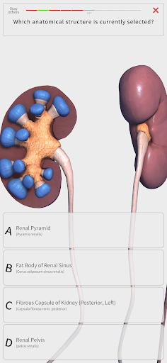 Visual Anatomy 3D - screenshot 4