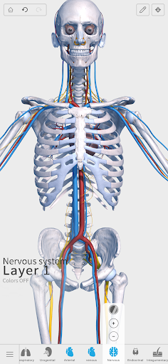 Visual Anatomy 3D - screenshot 6