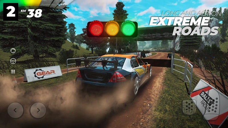 Real Rally - screenshot 1