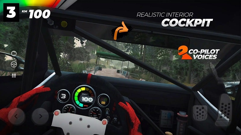 Real Rally - screenshot 3
