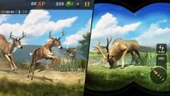 Animal Hunting Sniper Shooting Game 2020 - screenshot 1