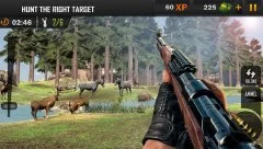 Animal Hunting Sniper Shooting Game 2020 - screenshot 4