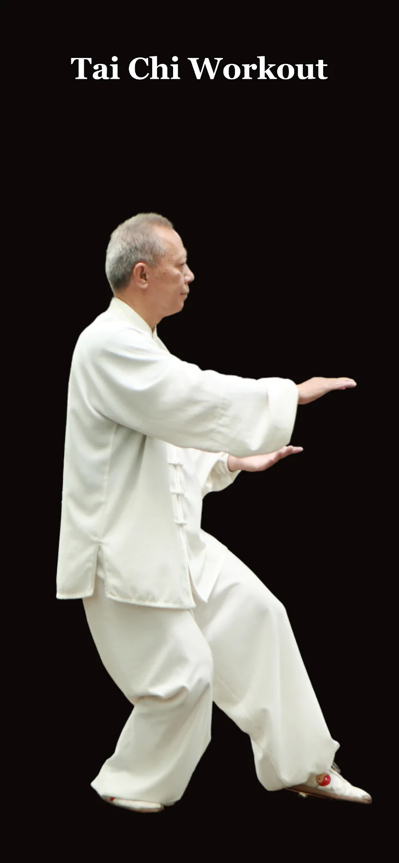 Tai Chi Workout at Home - screenshot 1