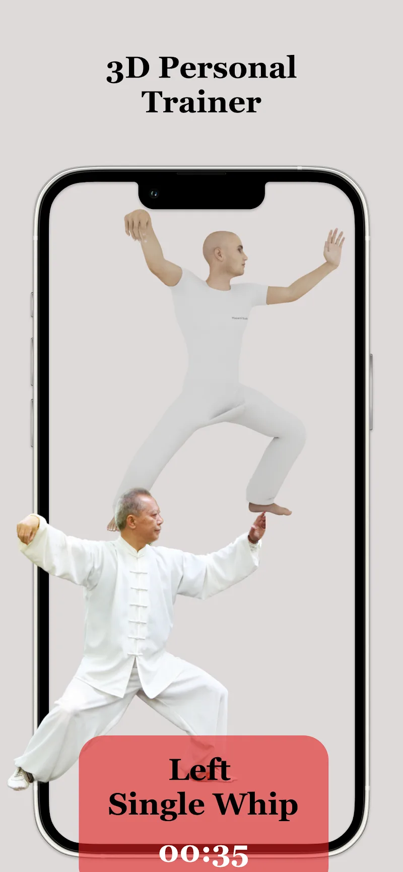 Tai Chi Workout at Home - screenshot 2