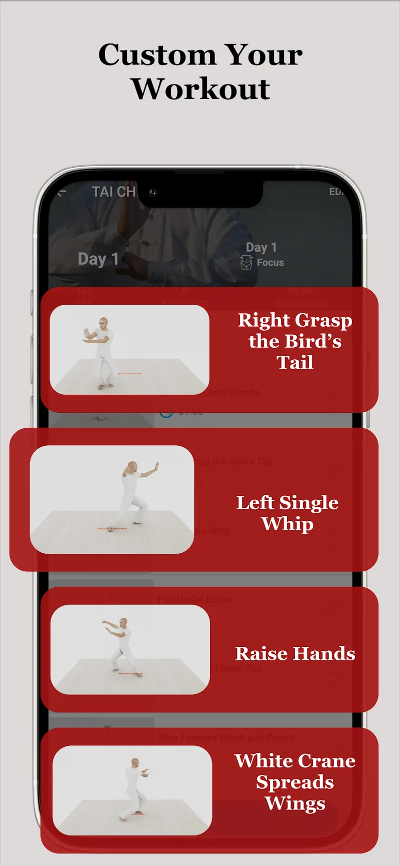 Tai Chi Workout at Home - screenshot 5