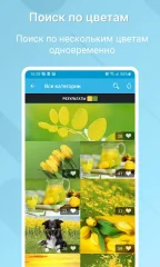 HD Wallpapers - screenshot 3