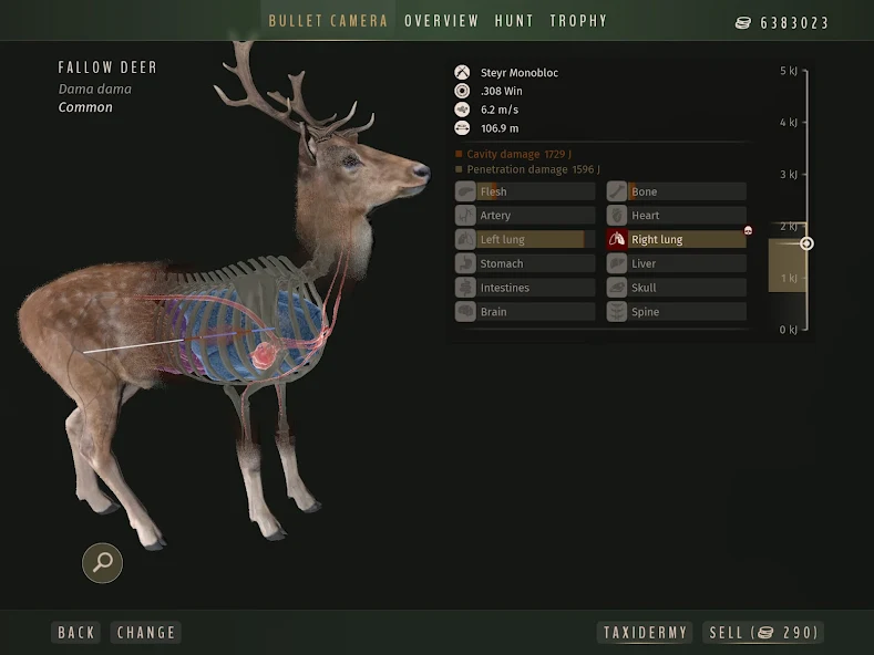 Way of the Hunter Wild Europe - screenshot 10