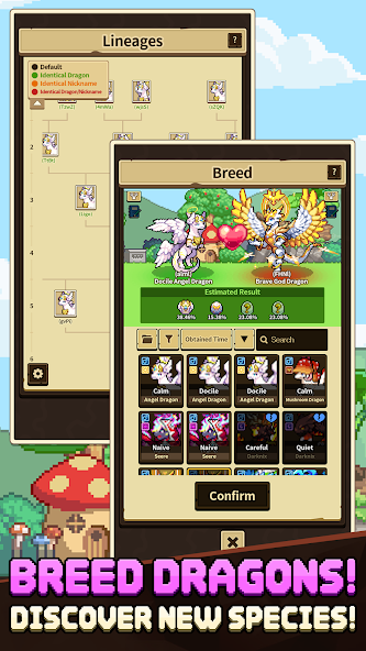 Dragon Village Collection - screenshot 3