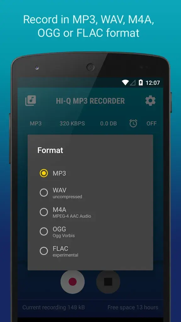 Hi-Q MP3 Voice Recorder - screenshot 5