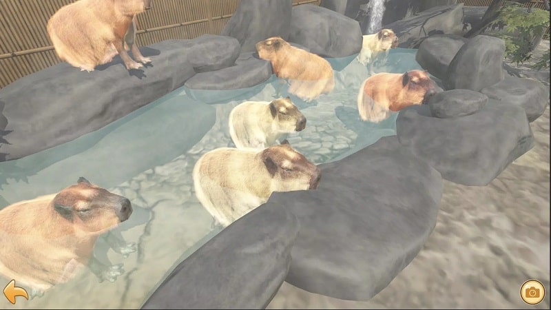 Capybara Zoo APK - screenshot 2