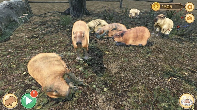Capybara Zoo APK - screenshot 3