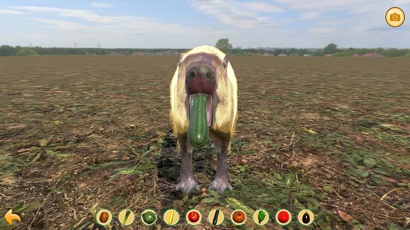 Capybara Zoo APK - screenshot 4
