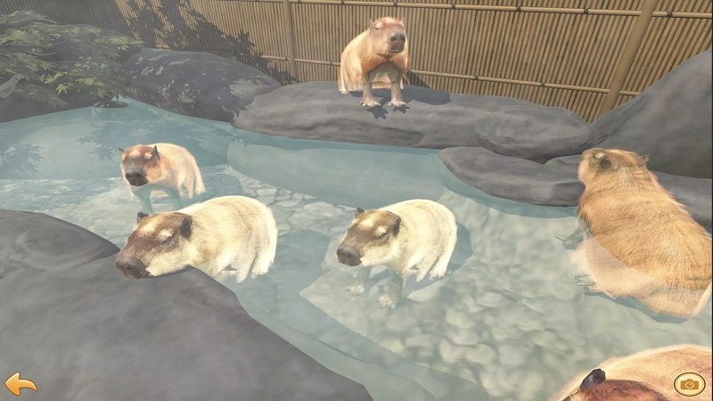 Capybara Zoo APK - screenshot 5