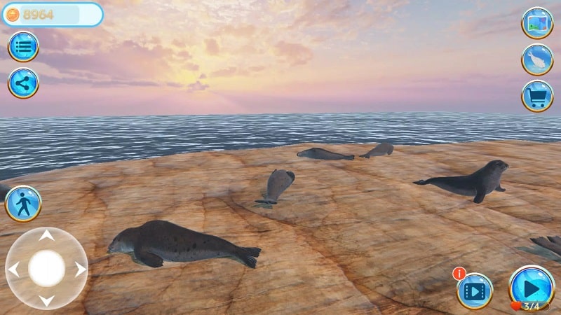 Seal Island - screenshot 1