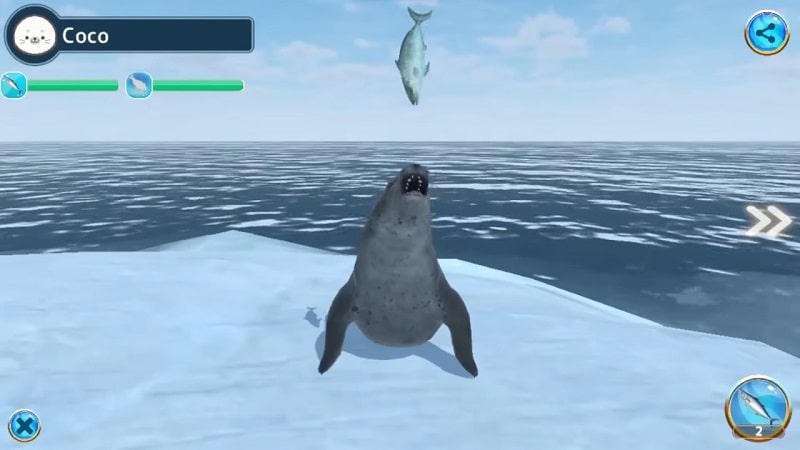Seal Island - screenshot 2