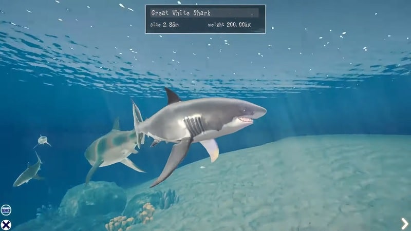 Shark Ocean APK MOD APK icon