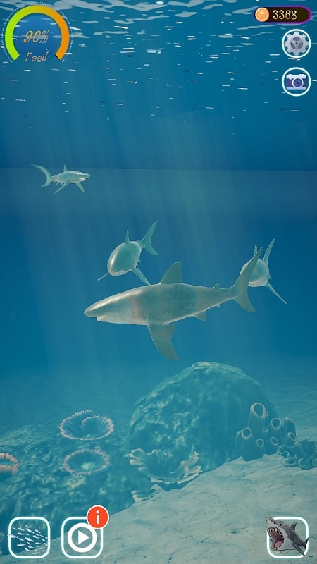 Shark Ocean APK - screenshot 1