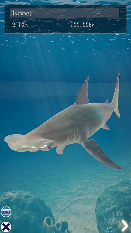 Shark Ocean APK - screenshot 2