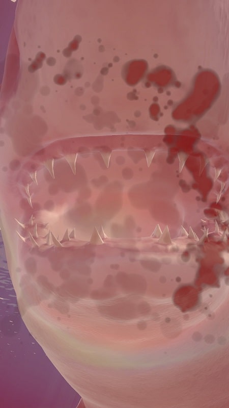 Shark Ocean APK - screenshot 4