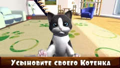 Daily Kitten : virtual cat pet - screenshot 1
