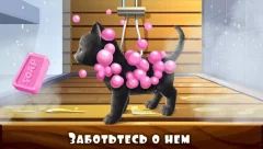 Daily Kitten : virtual cat pet - screenshot 2
