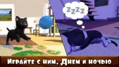 Daily Kitten : virtual cat pet - screenshot 3