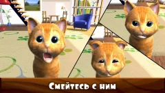 Daily Kitten : virtual cat pet - screenshot 4