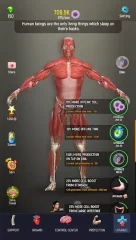 Idle Human - screenshot 3