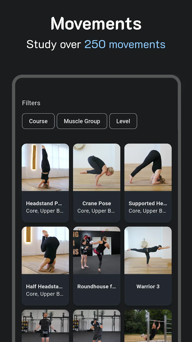 Thenics Flow - screenshot 5