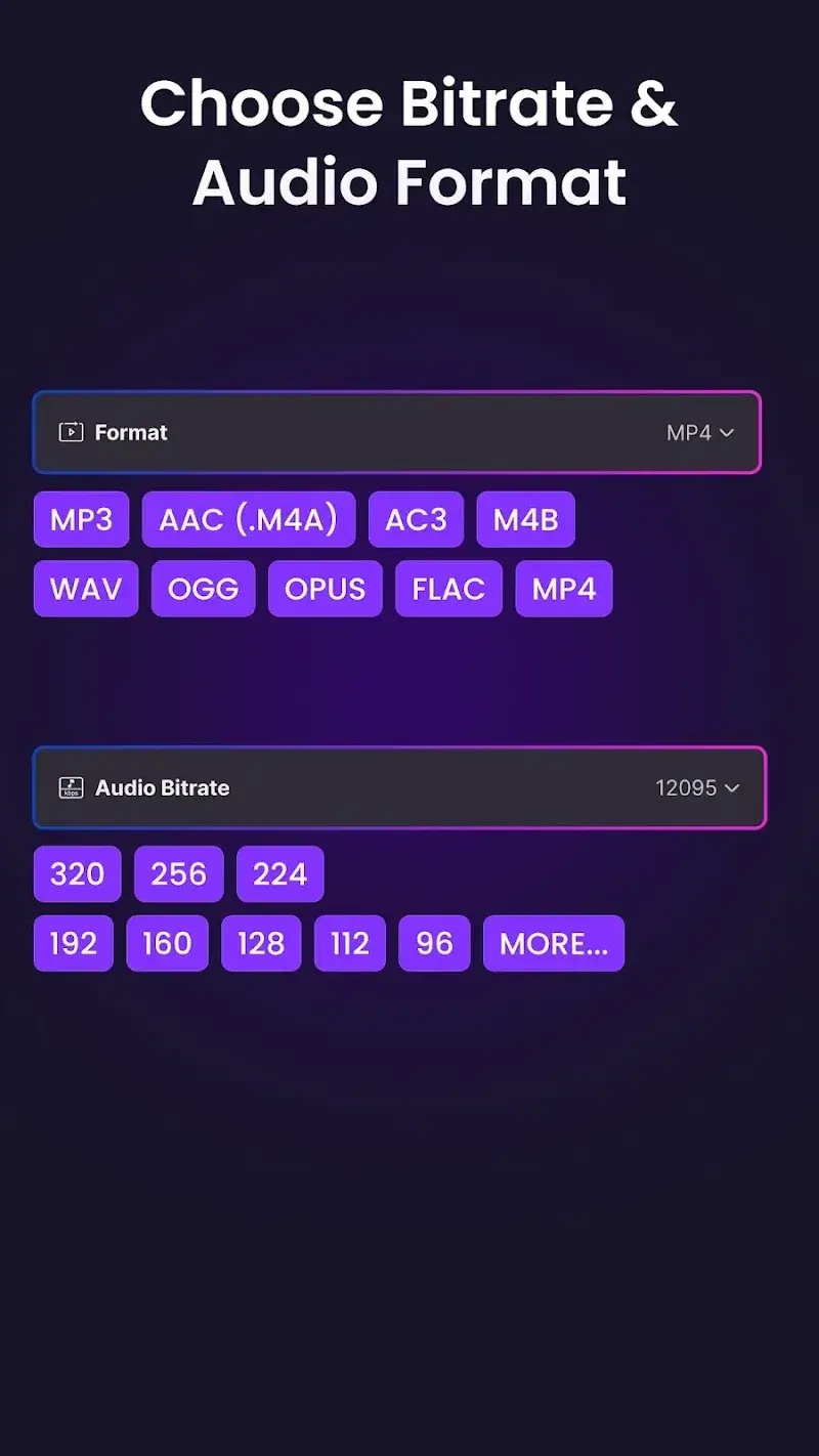 Video to Audio MP3 Converter - screenshot 4