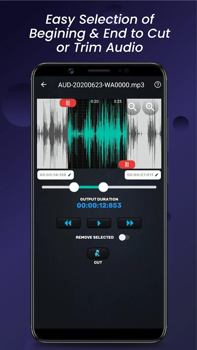 Audio Video Manager v17.2.0 APK MOD (Premium Unlocked) - screenshot 3