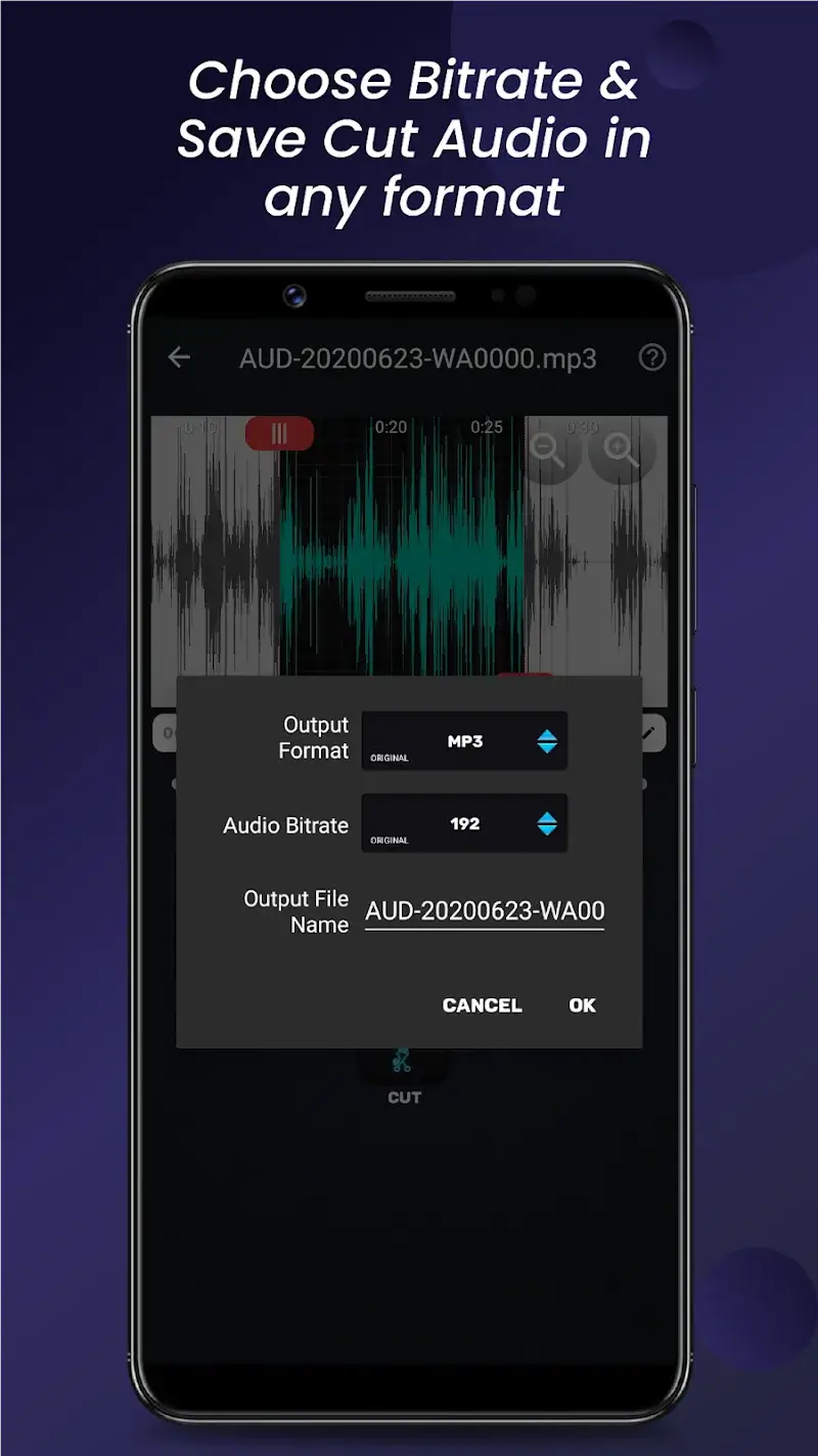 Audio Video Manager v17.2.0 APK MOD (Premium Unlocked) - screenshot 4