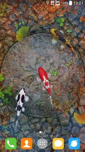Water Garden Live Wallpaper - screenshot 6