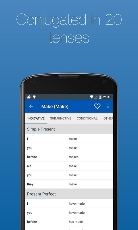 English Verb Conjugator Pro APK - screenshot 4