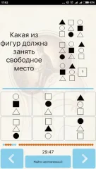 IQ Test - screenshot 2