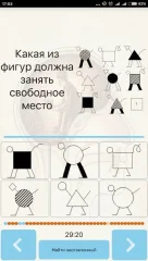 IQ Test - screenshot 3