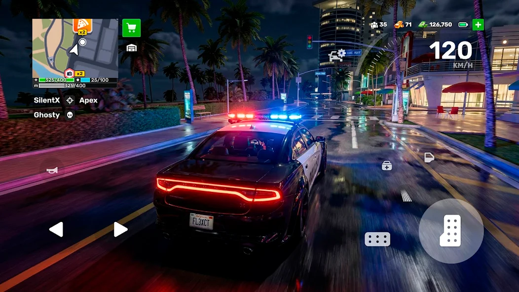 Flex City Vice Online - screenshot 4