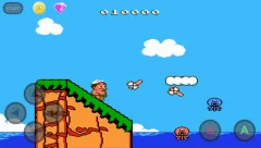 Adventure Island 2 - screenshot 1