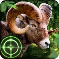 Wild Hunter 3D MOD APK icon