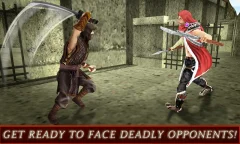 Ninja Warrior Assassin 3D - screenshot 4