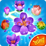 Blossom Blast Saga MOD APK icon