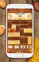 Unblock Me - screenshot 1