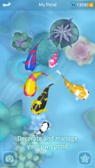 Zen Koi 2 - screenshot 1