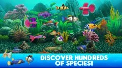 Fish Tycoon 2 Virtual Aquarium - screenshot 2