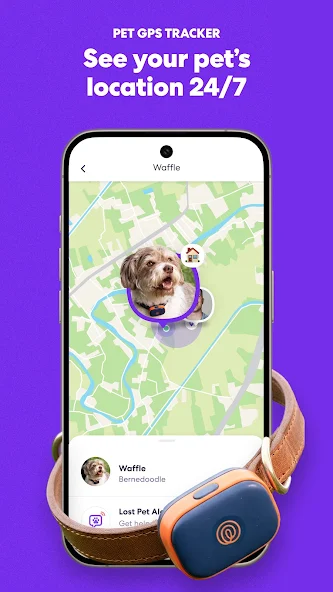 Life360 - screenshot 4
