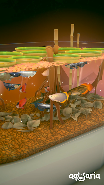 AQUALIA - screenshot 2