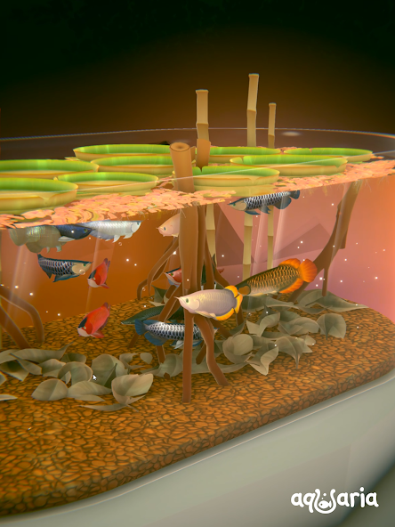 AQUALIA - screenshot 4